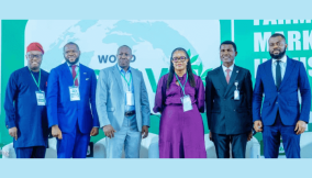 How Nigeria can transform cassava crop from subsistence to industrial driver